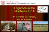 Legumes in the Northeast USA - Plant Breeding...Legumes Most Used Alfalfa Red Clover Birdsfoot Trefoil . Forage Yield Replicated Clonal Evaluation: NE1010 . Forage Quality . Selection