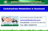 Carbohydrate Metabolism in Ruminant¸ªศ414 การให้นม/Lession 3... · Carbohydrate metabolism Non – fibrous carbohydrate NFC = 100 – (%NDF + %CP + %Fat + % Ash