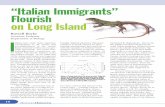 “Italian Immigrants” Flourish on Long Island · carried to the Great Lakes in the ballast water of large ships. They have spread rapidly throughout lakes of the Midwest “Italian