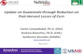 Update on Guatemala through Reduction on Post-Harvest ...€¦ · 10.0 12.0 14.0 0.0 5.0 10.0 15.0 20.0 25.0 30.0 35.0 40.0 45.0 H St 0 St 30 St 60 St 90 St 0 St 30 St 60 St 90 Chain