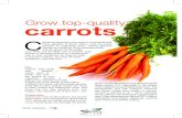 Grow top-quality carrots - Agricultural Research … Sector News/Grow top...is enough moisture, and they are fairly resistant to cold and frost. carrots Grow top-quality Winter Vegetables