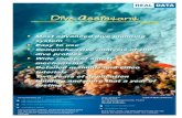 Scuba Diving Software - Asystent Nurkowania 1...Diving Assistant software, Scuba Diving Software brand and web site scubadivesoftware.com are property of REAL DATA S.C. company and