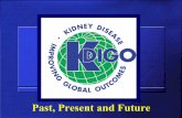 Past, Present and Future - KDIGO · 2019-02-13 · Andre Wiecek, Poland Carmine Zoccali, Italy. NKF Board of Directors KDIGO Management Board of Directors KLS Nominating ... N% COUNTRY