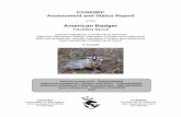 American Badger,Taxidea taxus - Canada.caregistrelep-sararegistry.gc.ca/.../sr_blaireau...e.pdfÉgalement disponible en français sous le titre Ếvaluation et Rapport de situation