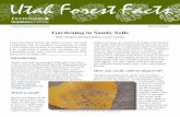 Gardening in Sandy Soils - Utah State University â€؛ files â€؛ utah-forest-facts â€؛ gardening-in-sandy...آ 