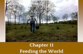 Chapter 11 Feeding the World - Mrs. Moran › uploads › 8 › 7 › 1 › 8 › 8718270 › ...Feeding the World. Global Undernutrition Number of undernourished people declined throughout