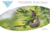 PANDION Wild Tours › img › Catalogue... · In the afternoon we travel to Kerkini Lake, in Greece. We’ll spend two nights in the small village of Khrizokhorafa, next to Kerkini