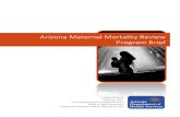 Arizona Maternal Mortality Review Program Brief › documents › prevention › womens-childrens-… · maternal deaths in 2010. The global maternal mortality rate has declined from