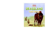Grassland Food Chains - Fascinating Food Chains · A Grassland Food Chain A food chain tells who eats what. It shows how living things need each other. Let’s find out what’s for
