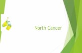 Cancer Surgery in the North of Scotland › sites › default › files › ...Context Population base of 1.4 million 47,383km2 6 North of Scotland Boards with 3 independent cancer