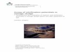 Assay of nitrification potentials in sewage sludgestud.epsilon.slu.se/9060/1/Jongren_C_160517.pdf · FMS - Fresh dewatered mesophillically digested sewage sludge M - Mesophilically