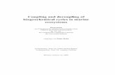 Coupling and decoupling of biogeochemical cycles …elib.suub.uni-bremen.de/diss/docs/00011278.pdfCoupling and decoupling of biogeochemical cycles in marine ecosystems Dissertation