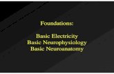 Foundations: Basic Electricity Basic Neurophysiology Basic …apsychoserver.psychofizz.psych.arizona.edu/JJBAReprints/... · 2008-02-05 · Basic Neurophysiology Basic Neuroanatomy.
