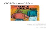 Of Mice and Men · Organize their literary analysis Include transitional phrases/sentences Vary sentence structure Stage 2 ± Assessment Evidence Culminating Assessment : Literary