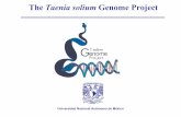 The Taenia solium Genome Project - Page d'accueil / Lirmm.fr / - … · 2015-10-26 · 1. Taenia solium is the causal agent of human and porcine cysticercosis; a disease that still