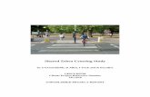 Shared Zebra Crossing Study - Transport for Londoncontent.tfl.gov.uk/shared-zebra-crossing-study.pdfreport also examines the legal framework surrounding crossings and suggests the