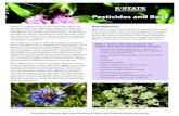 MF3428 Pesticides and Bees - KSRE BookstoreK-State Research and Extension | 2 Honey bees are polylectic, meaning they collect pollen and nectar from a diverse array of flowering plants.