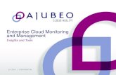 Enterprise Cloud Monitoring and ManagementCLIENT B VDC Application Level Customer VMs Ajubeo IaaS Website Database Business Apps Network Storage Compute Performance Resource Usage