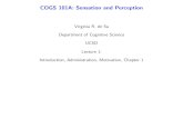 Virginia R. de Sa Department of Cognitive Science UCSD Lecture 1…desa/101a/lec1out.pdf · 2004-09-30 · COGS 101A: Sensation and Perception 1 Virginia R. de Sa Department of Cognitive