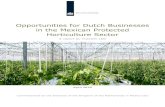 Opportunities for Dutch Businesses in the Mexican ... › sites › default › files › 2020 › 05 › ... · horticulture sector, The Netherlands could greatly contribute to the