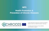 WP5 Health Promotion & Prevention of Chronic …chrodis.eu/wp-content/uploads/2016/06/eph_wp5.ppt.pdfWP5 Health Promotion & Prevention of Chronic Diseases Leader Alexander Haarmann