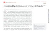 Regulation of the Synthesis and Secretion of the …Regulation of the Synthesis and Secretion of the Iron Chelator Cyclodipeptide Pulcherriminic Acid in Bacillus licheniformis Dong