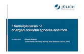 Thermophoresisof charged colloidal spheres and rodsindico.ictp.it/event/8646/session/30/contribution/61/... · 2019-03-13 · 12.03.2019 2 2 Phenomenologicalequation (…, thermodiffusion,