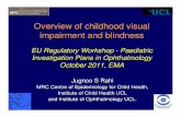 Overview of childhood visual impairment and … › en › documents › presentation › ...Overview of childhood visual impairment and blindness EU Regulatory Workshop - Paediatric