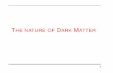 THE NATURE OF DARK MATTER€¦ · Dark Matter ˘85% Intracluster gas ˘15% Galaxies ˘1% DM in cluster Baryons in cluster ˇ DM baryons Temperature of ICM: 1 10 keV ˘107 108 K Back