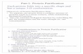 Part I- Protein Purificationstrbio.biochem.nchu.edu.tw/classes/biochem-II/bioch6a-pure1_new.pdf · Protein Purification Strategies To purify the protein you use methods based on differences