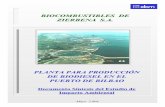 BIOCOMBUSTIBLES DE ZIERBENA S.A....BIOCOMBUSTIBLES DE ZIERBENA, S.A. Planta para Producción de Biodiesel en el Puerto de Bilbao. Estudio de Impacto Ambiental. Documento síntesis