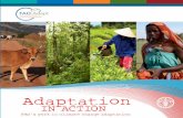 Adaptation in action › 3 › i2867e › i2867e.pdf · 2012-11-22 · mainstReam climate change into development planning Adaptation must be integrated into overarching developmental