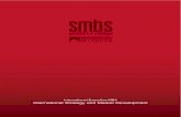 International Executive MBA International Strategy ... - SMBS SMBS - University of Salzburg Business