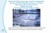 Natural Fish passage work completed by the EIFAC Working ... · Improving morphology and fish passage in high energy rivers 25th Sept 2012, The Birnam Institute, Dunkeld, Scotland