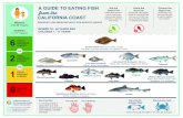 A GUIDE TO EATING FISH - Home | OEHHAa guide to eating fish california coast advisory for areas without site-specific advice women 50 years and older and men 18 years and older eat