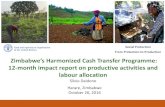 Social Protection From Protection to Production Zimbabwe’s ...€¦ · labour-constrained households. •Eligibility: labour-constrained families living below the food poverty line,