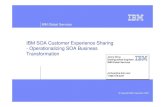 IBM SOA Customer Experience Sharing - Operationalizing SOA ... · Best Practices for Operationalizing SOA Business Transformation 1. Take on a Program Approach for your SOA Implementation
