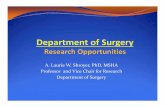 A. Laurie W. Shroyer, PhD, MSHA Professor Vice Chair ... · Spring HPD 650 “Seminar Series: Clinical Applications ... Be Sure to Get Library Trainings ... Microsoft PowerPoint -