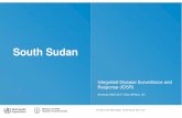 South Sudan IDSR Annex - W45 2017 Nov 6-Nov 12 · 4 W45 2017 (Nov 06-Nov 12) • Overall, malaria is the top cause of morbidity accounting for 59% of the total consultations in week