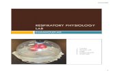 Respiratory physiology lab - Sinoe Medical Associationsinoemedicalassociation.org/AP2/respphyslab.pdf · Respiration is divided into 4 processes: 1. Pulmonary ventilation is the movement