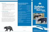 Deterrents… For more information, contact the Safety · 2017-06-23 · Country Safety Grizzly and Black Bear Deterrents… • Include 12 gauge cracker shells, air horns, flares