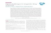 Open challenges in magnetic drug targeting - onlineLibraryTPS€¦ · The principle of magnetic drug targeting, wherein therapy is attached to magnet-ically responsive carriers and