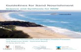 Guidelines for Sand Nourishment · 2018-09-27 · Beach nourishment is defined as: Artificial emplacement of sand (or coarser material) to improve beach amenity and/or increase protection