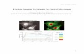 Lifetime Imaging Techniques for Optical Microscopyunicorn/249/Handouts/lifetimeimaging.pdfA particularly efficient energy transfer process is fluorescence resonance energy transfer,