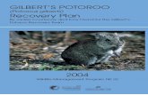 Gilbert’s Potoroo Recovery Plan · Gilbert’s potoroo was rediscovered at Two Peoples Bay Nature Reserve, 35km east of Albany, in December 1994 by Elizabeth Sinclair (Sinclair,