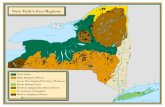 New York's EcoregionsNew York's Ecoregions Author: NYSDEC Subject: Map of New York State showing The Nature Conservancy ecoregions along with Statew Forest distribution Keywords: TNC,