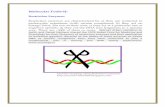 Molecular Tools-II · 2017-06-18 · The organisms used for isolating restriction enzymes belong to aerobic, anaerobic, photosynthetic, diazotropic, mesotropic, thermophilic or psycrophilic
