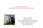 Kinetic and equilibrium Absorbance and fluorescence … · 2012-08-03 · - Basic principles of absorbance and fluorescence spectroscopies - Applications of absorbance and fluorescence