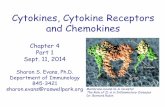 Cytokines, Cytokine Receptors and Chemokines · • Biological activity of cytokines • Methods to analyze cytokines • Structure of cytokines • Detection/structure of cytokine