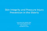 Pressure Injury Prevention and Skin Integrity in the Elderly Integrity.pdfSkin Integrity and Pressure Injury Prevention in the Elderly Sonya Clark, RN, CWOCN, CFCN Henry County Medical